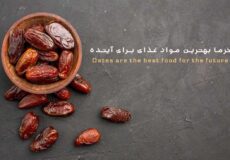 خرما-بهتری-مواد-